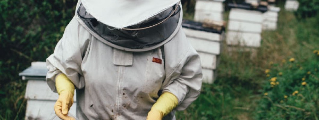 Bob's guides to Beekeeping