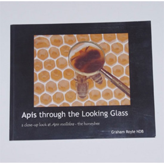 Apis Through the Looking Glass