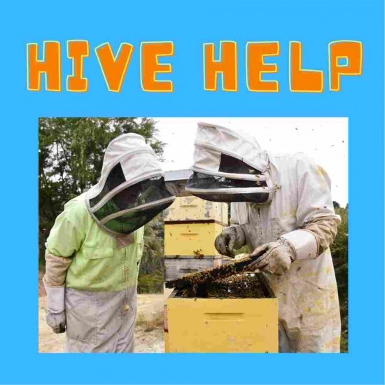 Hive help