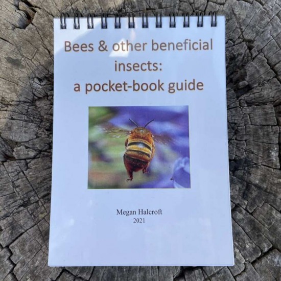 Bees & other beneficial insects: a pocket-book guide