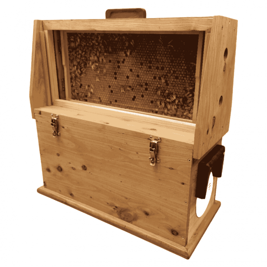Ulster Observation Hive